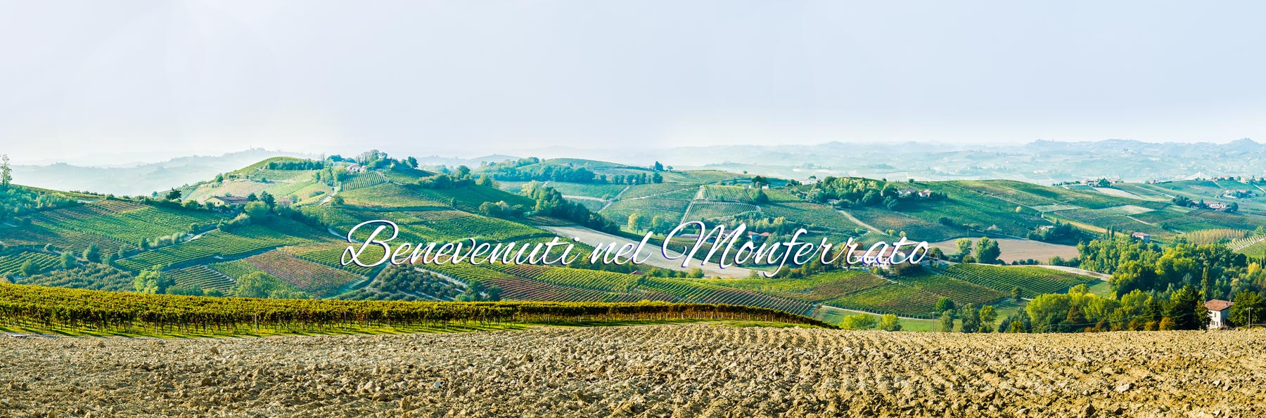 Monferrato hills, Piedmont, Italy